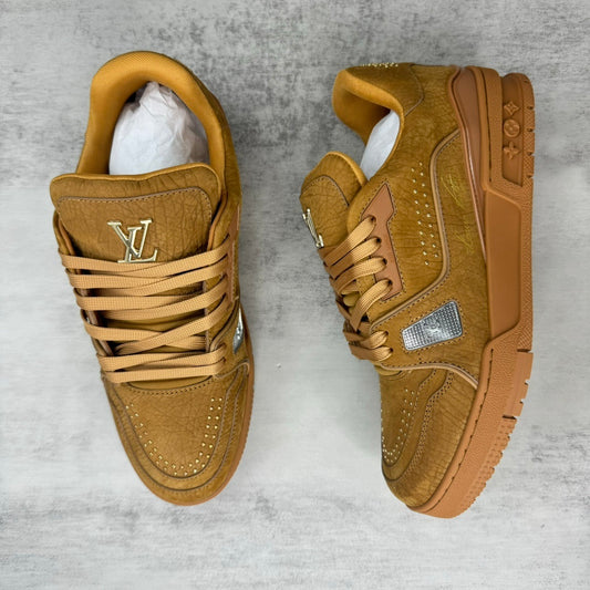 LV Trainer — Camel